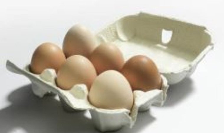 Boîte œufs x6